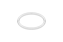 Sealing ring G DN100 EPDM DIN11851
