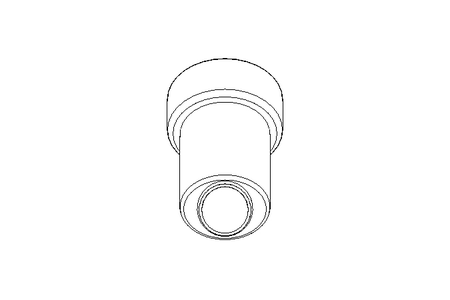 Strainer DN025 Schraegsitz 1.4404