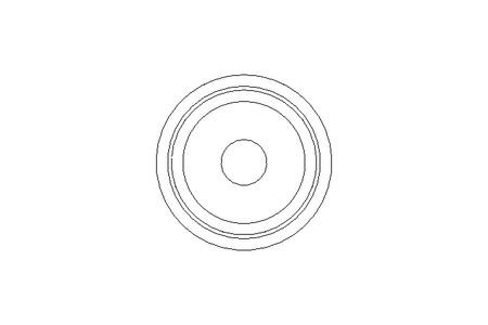 SEALING RING       040.0023075