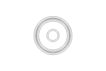 SEALING RING       040.0023075