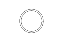 Führungsring RXZH 20x23,1x4 PTFE