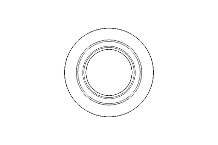 Anello di tenuta Glyd Ring PT 24,5x32