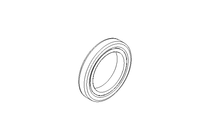 Anello di tenuta Glyd Ring RG 12x17,8