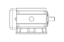 Gear 125F1300/56 10/1