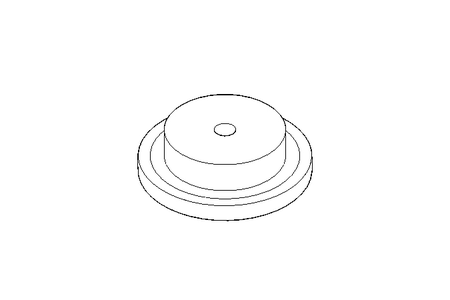 RUOTA PER CATENA