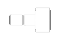 CAM FOLLOWER  KR 19   PP