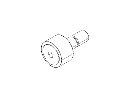 RODILLO DE LEVA KR 19 PPX