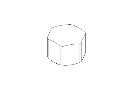 Tuerca hexagonal ciega M12 A2 DIN917