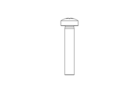 Vite a testa bombata M3x16 A2 ISO7045