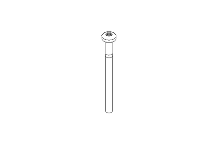 Linsenschraube M4x50 A2 ISO7045