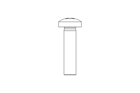 Vis à tête bombée M5x20 A2 ISO7045