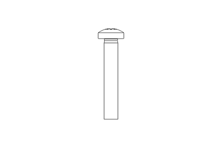 Fillister head screw M5x30 A2 ISO7045