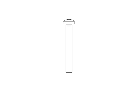 Linsenschraube M5x40 A2 ISO7045