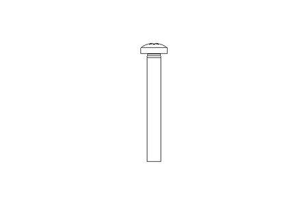 Linsenschraube M5x40 A2 ISO7045