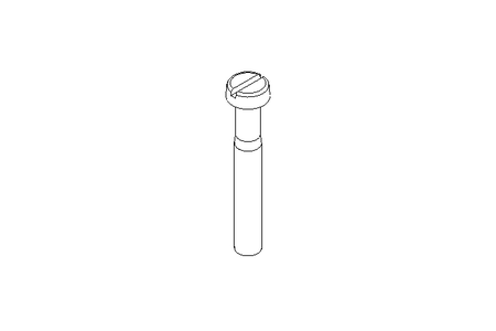 Zyl-Schraube M8x55 A2 ISO1207