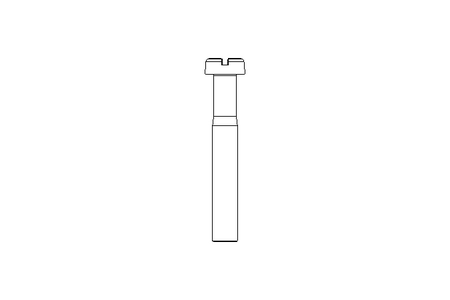 Zyl-Schraube M8x55 A2 ISO1207