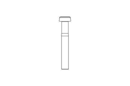 Zyl-Schraube M8x55 A2 ISO1207