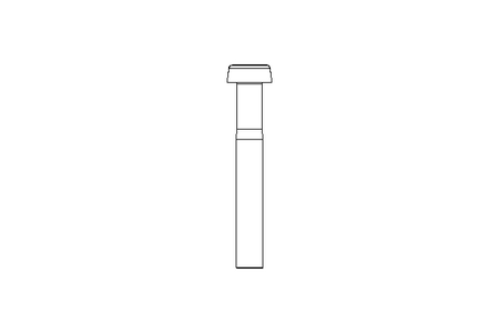 Zyl-Schraube M8x55 A2 ISO1207