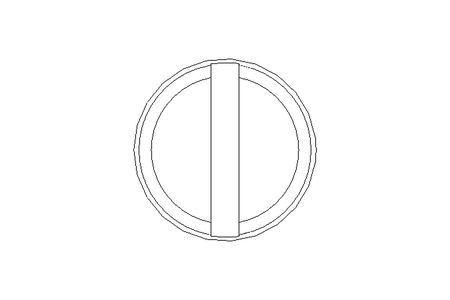 Zyl-Schraube M8x55 A2 ISO1207