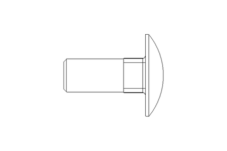 Pf cb oval r/q M12x30 DIN603