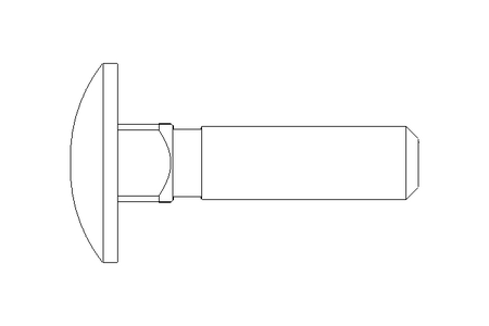 Round head screw M6x25 A2 DIN603