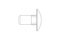 Round head screw M10x20 A2 DIN603