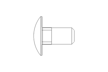 Pf cb oval r/q M10x20 A2 DIN603