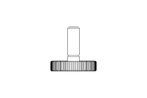 KNUR.SCREW M 4X 12  A2 DIN 653