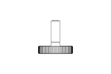 KNUR.SCREW M 4X 12  A2 DIN 653