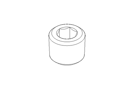 Bujao roscado R1/8pol ST  DIN 906