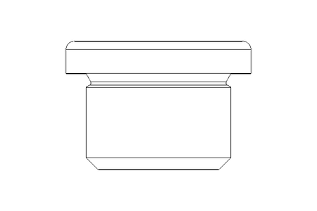 Verschlussschraube M18x1,5 A2 DIN 908