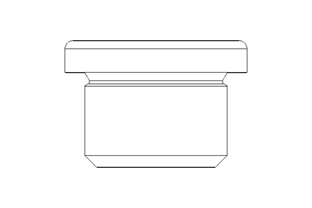 Verschlussschraube M18x1,5 A2 DIN 908