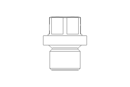 Verschlussschraube G1/8A A2 DIN 910