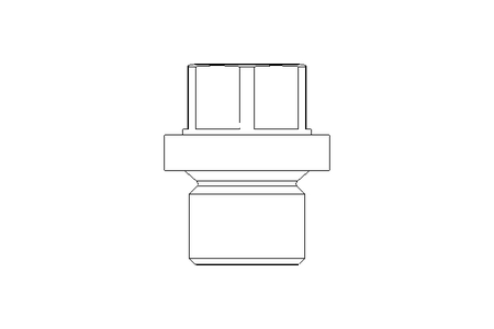 Verschlussschraube G1/8A A2 DIN 910