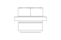 Verschlussschraube 3/8 A A4 DIN 910