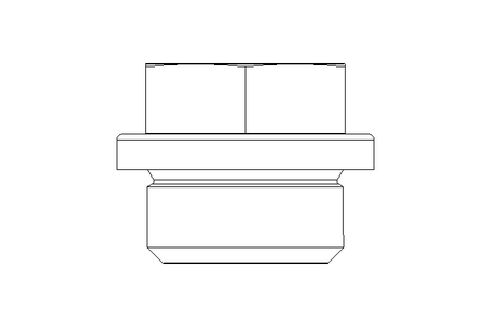 Verschlussschraube 3/8 A A4 DIN 910