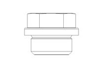 Verschlussschraube 3/8 A A4 DIN 910