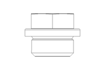 Verschlussschraube 3/8 A A4 DIN 910