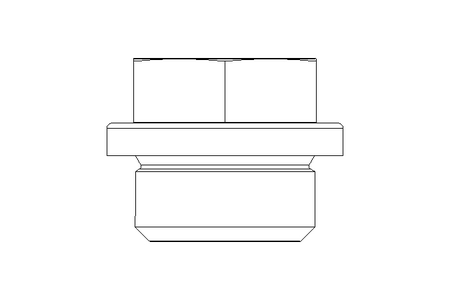 Verschlussschraube 3/8 A A4 DIN 910