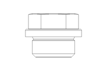 Verschlussschraube 3/8 A A4 DIN 910