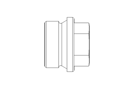 Bujao roscado A4     DIN 910