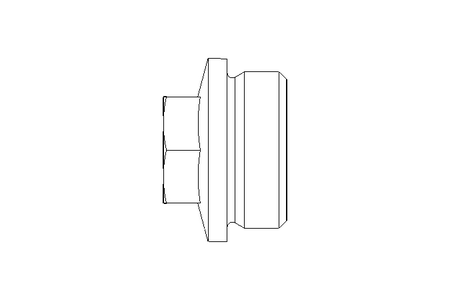 SCREW PLUG R1 1/4"  A2 DIN 910