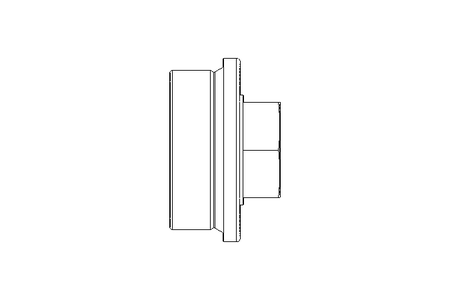 Bujao roscado aco R1 1/2" A2 DIN 910