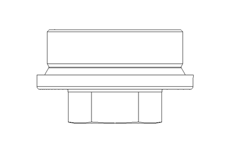 Bujao roscado aco R1 1/2" A2 DIN 910