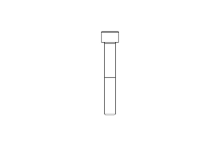 Tornillo de cab.cilínd. M8x55 10,9