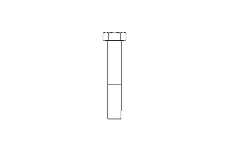 Vite a testa esagonale M36x220 8,8