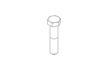 Vite a testa esagonale M12x55 A2 70