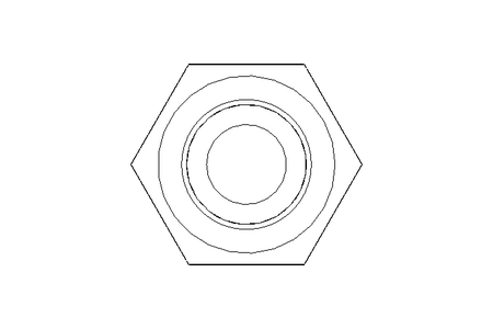 Hexagon screw M6x55 A2 70 ISO4017