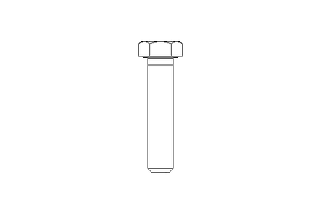 Tornillo cab. hexag. M12x55 A2 70