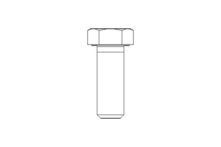 Tornillo cab. hexag. M20x55 A2 70